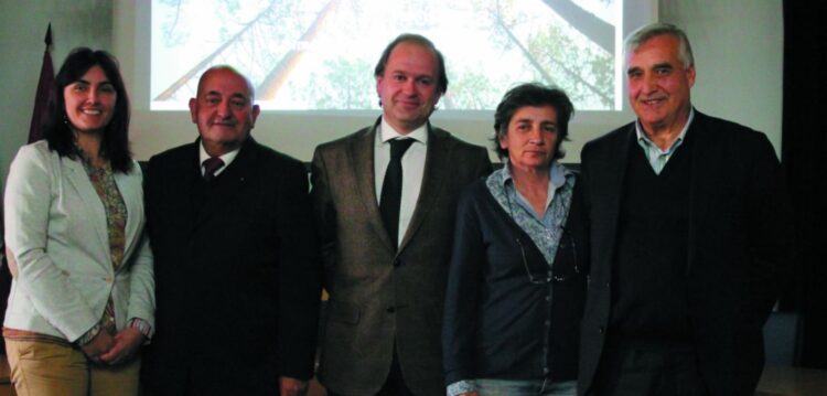 Cluster da floresta reunido em Pombal