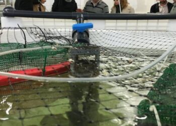 Consórcio Aquatropolis promove desenvolvimento da aquacultura