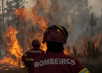 Distrito tem maior efectivo de sempre contra incêndios