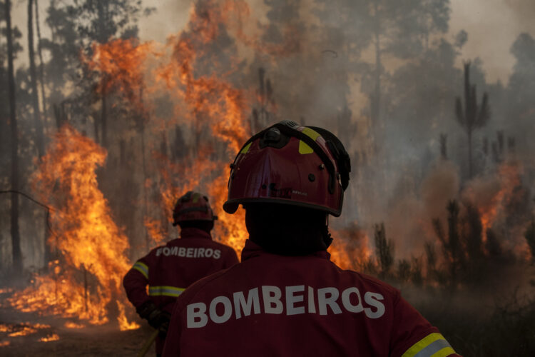 Distrito tem maior efectivo de sempre contra incêndios