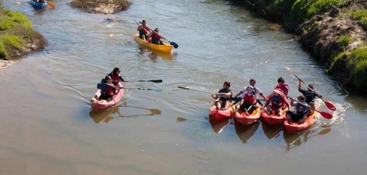 Escuteiros de Leiria descem o Lis de canoa