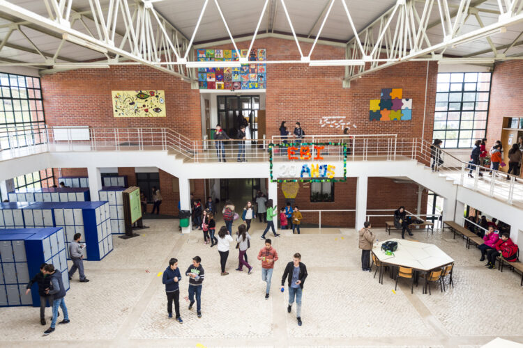 Ousadia e exigência marcam 20 anos da escola das Colmeias