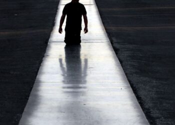 Visitas guiadas às exposições temporárias