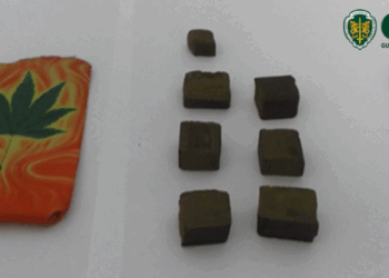 Dois detidos em flagrante na posse de droga em Figueiró dos Vinhos