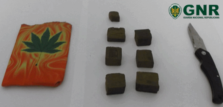 Dois detidos em flagrante na posse de droga em Figueiró dos Vinhos