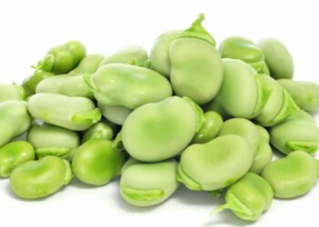 Em Maio Vamos às favas a Ourém?