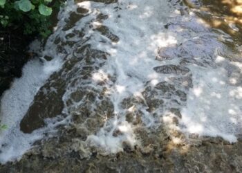 Nova descarga de efluentes suinícolas na ribeira dos Milagres, em Leiria