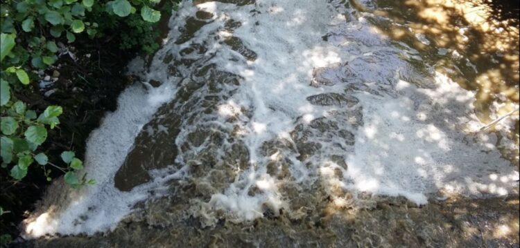 Nova descarga de efluentes suinícolas na ribeira dos Milagres, em Leiria