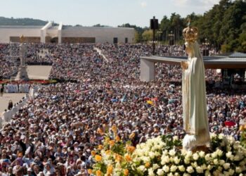Peregrinação testa meios para a vinda do Papa