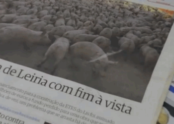 Rio Lis ou Rio Lixo?