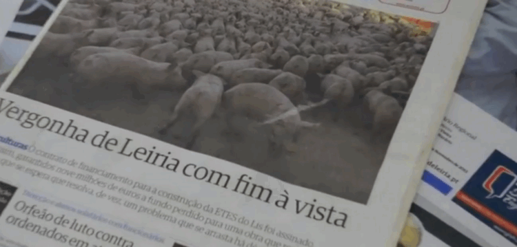 Rio Lis ou Rio Lixo?