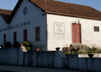 Vinho em Alcobaça, um museu que é tinto e branco