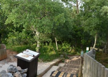 À procura de dinossauros no ecoparque da Pia do Urso