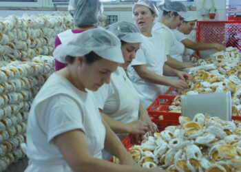Beijinhos de Pombal andam nas  bocas de europeus e americanos