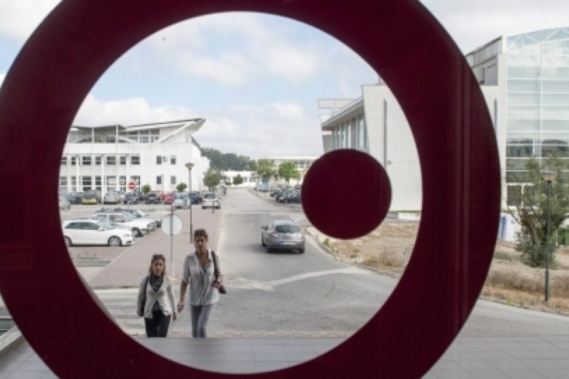 Doutoramentos e doutoramentos: rigor nos conceitos e na equidade é preciso