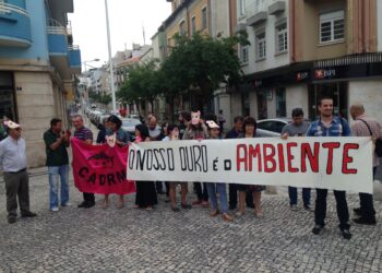 Manifestação contra “actividade selvagem” dos suinicultores