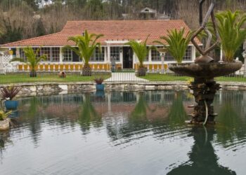 Leiria regulariza mais de 200 empresas em sete anos