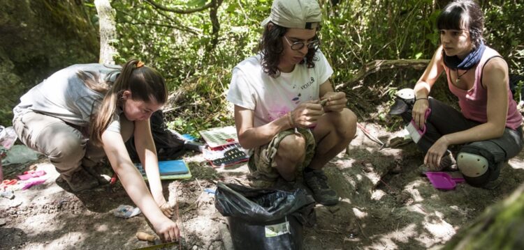O que aconteceu quando o Neandertal e o homem moderno se cruzaram na bacia do Lis?