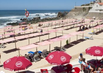 Comerciantes contestam nova lei dos estabelecimentos