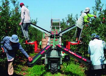 Frutas e legumes valem 10% da economia das Caldas