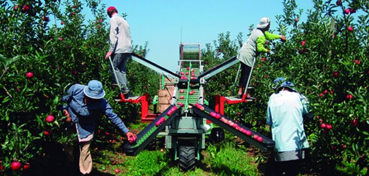 Frutas e legumes valem 10% da economia das Caldas