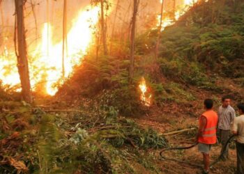 Incêndio em Figueiró dos Vinhos mobiliza 144 bombeiros