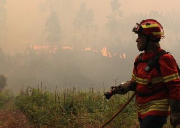 Incêndio em Ourém está em fase de rescaldo