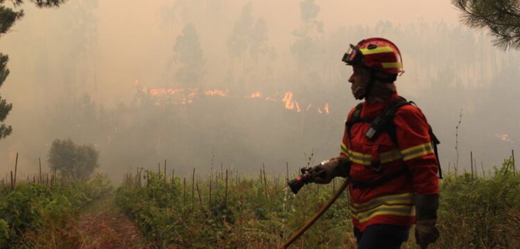 Incêndio em Ourém está em fase de rescaldo