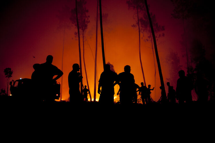 Incêndio em Ourém mobiliza 176 operacionais