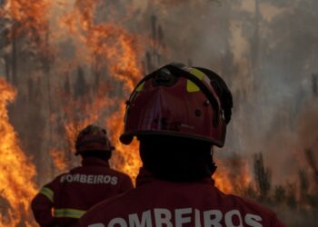Mais de 60 bombeiros combatem incêndio em mato na Gândara dos Olivais