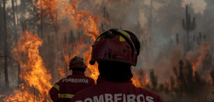 Mais de 60 bombeiros combatem incêndio em mato na Gândara dos Olivais