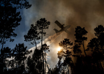 Mais de uma centena de homens combatem incêndio em Castanheira de Pera