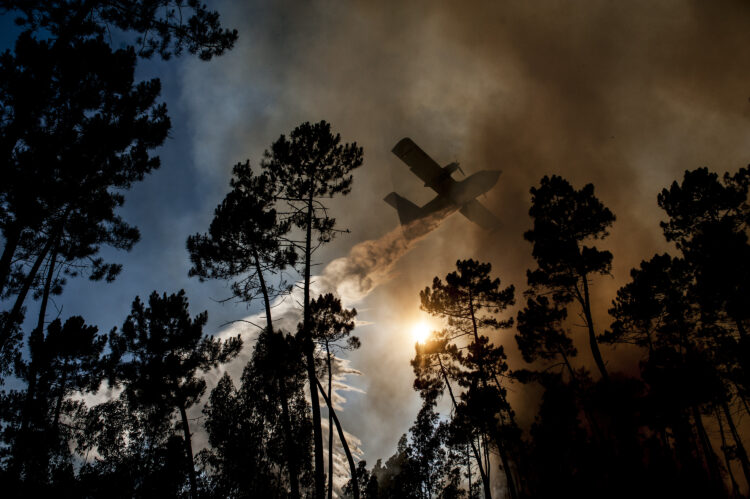 Mais de uma centena de homens combatem incêndio em Castanheira de Pera