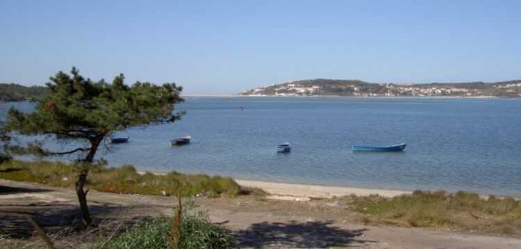 BE promove sardinhada em defesa da lagoa de Óbidos