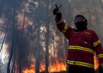 Incêndio em Colmeias mobiliza três meios aéreos
