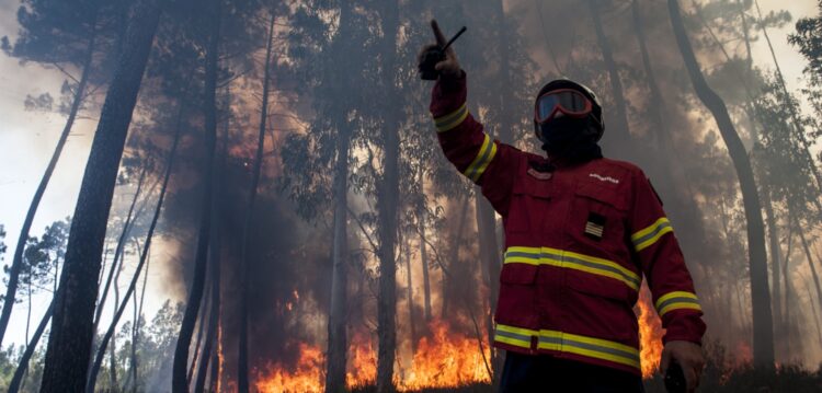 Incêndio em Colmeias mobiliza três meios aéreos