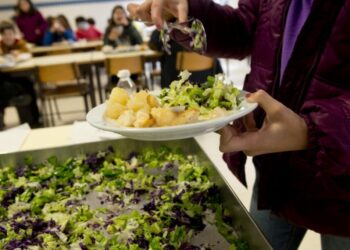 Maior diversidade nas ementas escolares conquistaria mais alunos