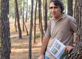 Pedro Cortes, em entrevista: “Os benefícios públicos da floresta têm de ser pagos a quem os produz”