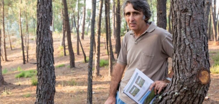Pedro Cortes, em entrevista: “Os benefícios públicos da floresta têm de ser pagos a quem os produz”