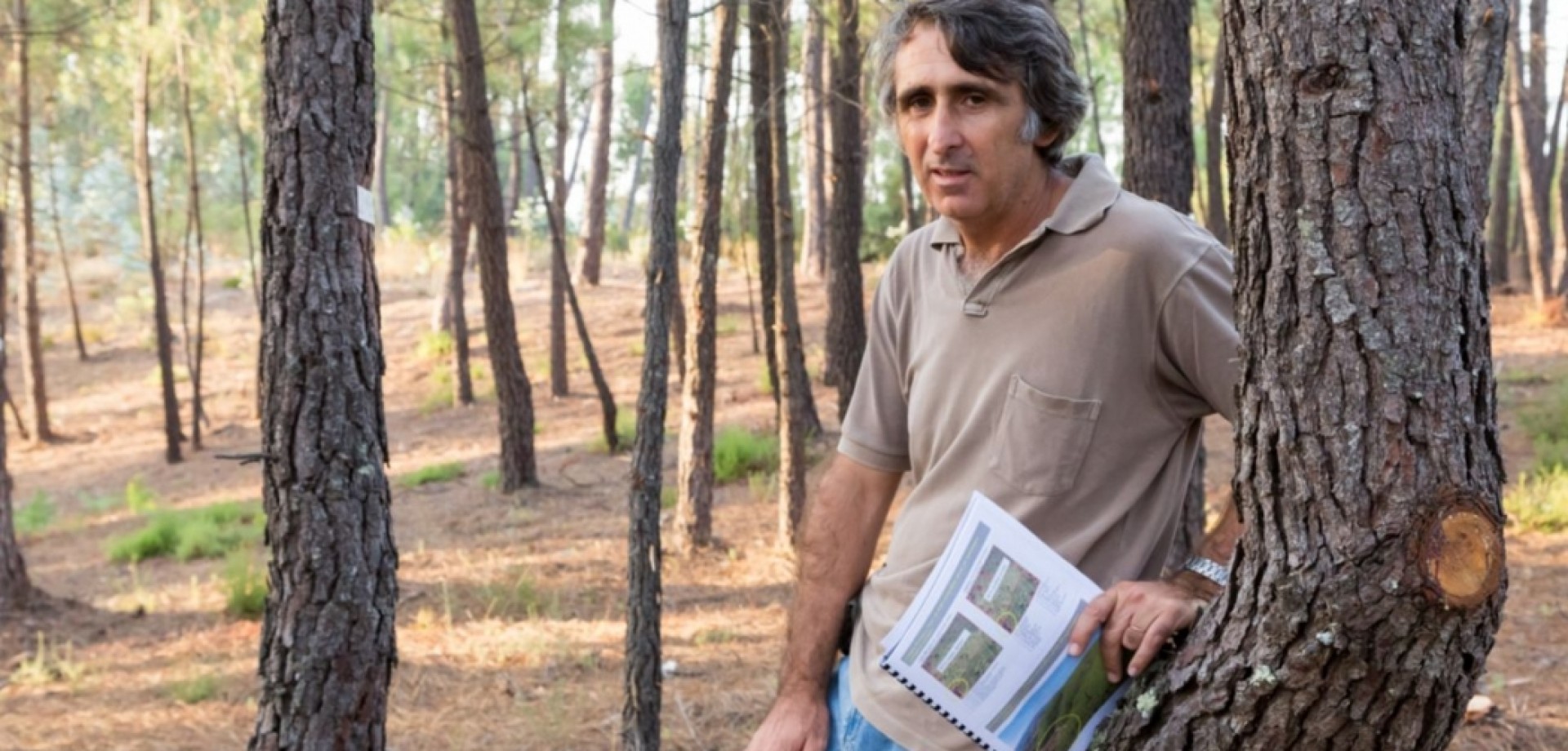 Pedro Cortes, em entrevista: “Os benefícios públicos da floresta têm de ser pagos a quem os produz”