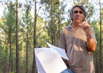 Pedro Cortes, engenheiro agrónomo: “os benefícios públicos da floresta têm de ser pagos a quem os produz”