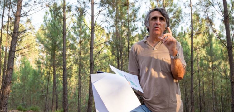 Pedro Cortes, engenheiro agrónomo: “os benefícios públicos da floresta têm de ser pagos a quem os produz”