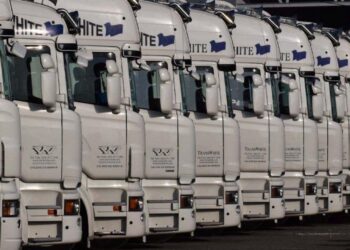 Transwhite, a empresa que faz chegar fruta e hortícolas do Oeste à Europa