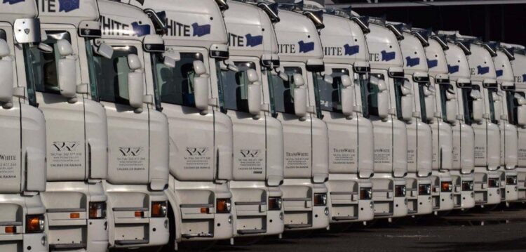 Transwhite, a empresa que faz chegar fruta e hortícolas do Oeste à Europa