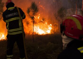 Três meios aéreos combatem incêndio em Pombal