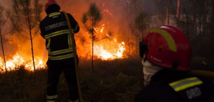 Três meios aéreos combatem incêndio em Pombal