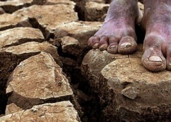 Alterações climáticas deverão lançar na pobreza até mais 122 milhões – FAO