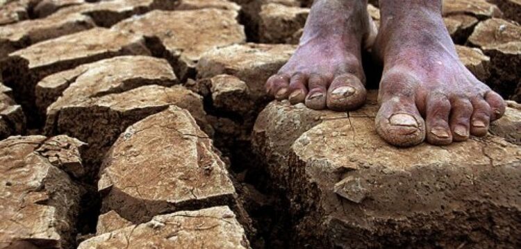 Alterações climáticas deverão lançar na pobreza até mais 122 milhões – FAO