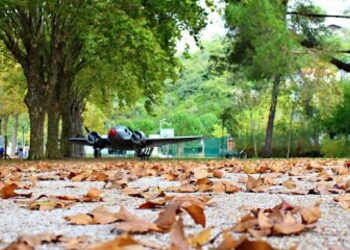 Chuva regressa a Portugal continental, domingo descem as temperaturas