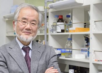 Nobel da Medicina atribuído ao japonês Yoshinori Ohsumi